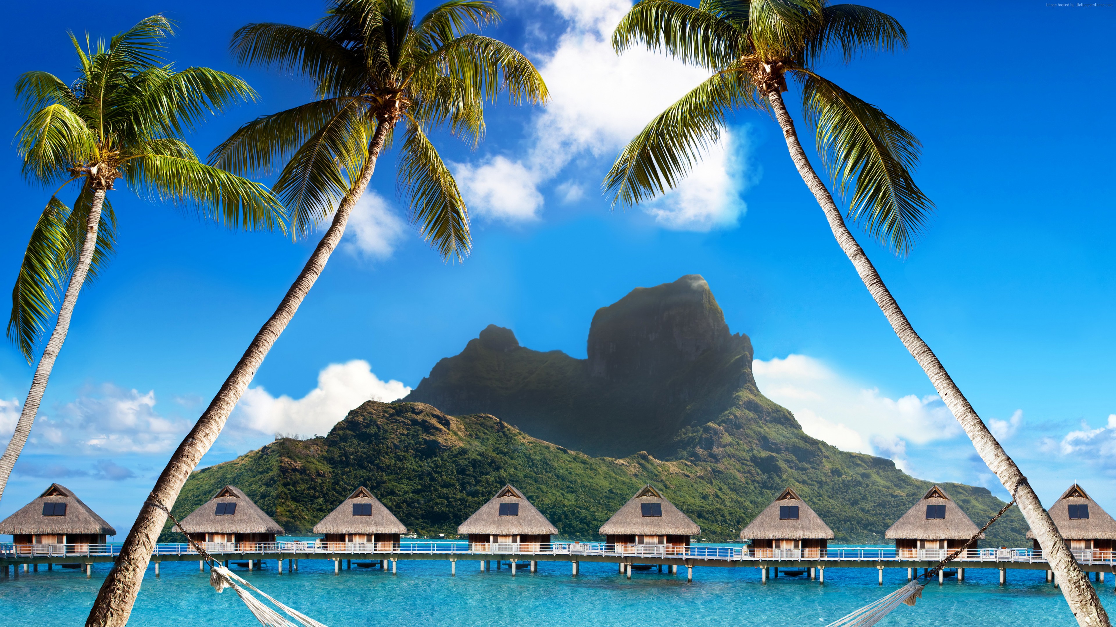 Wallpaper Bora Bora, 5k, 4k wallpaper, French Polynesia, Best beaches of 2017, Best Hotels of 2017, ocean, palm trees, mountains, beach, vacation, rest, travel, booking, palm trees, hammock, Travel